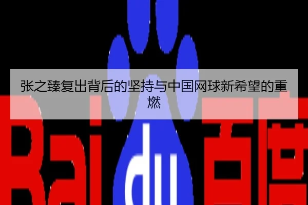 张之臻复出背后的坚持与中国网球新希望的重燃